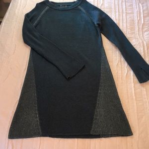 Smartwool Sweater Dress